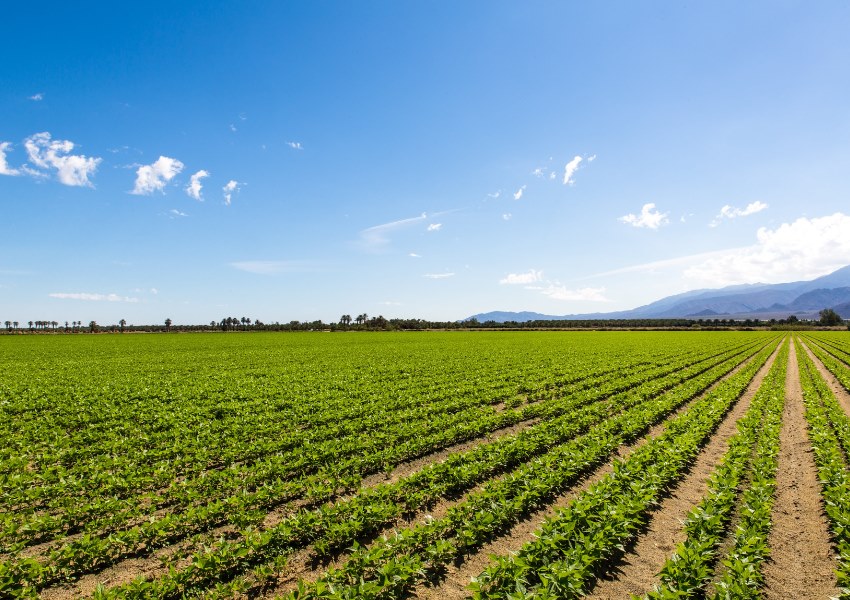 Vinagre para la agricultura